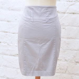 Express Pencil Skirt (NWOT)